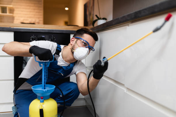 Best Emergency Pest Control  in Brentwood, MO