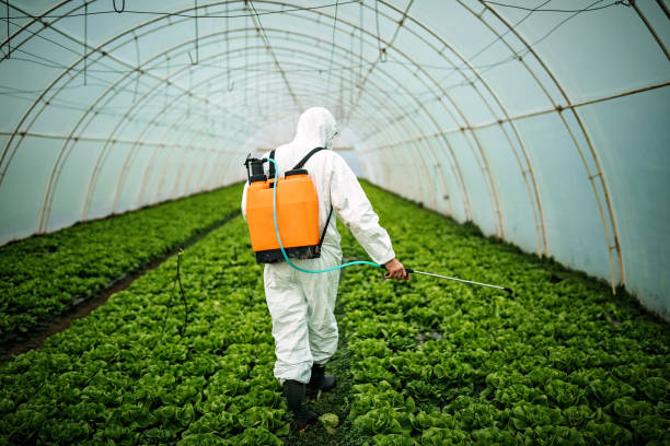 Best Pest Control Cost  in Brentwood, MO
