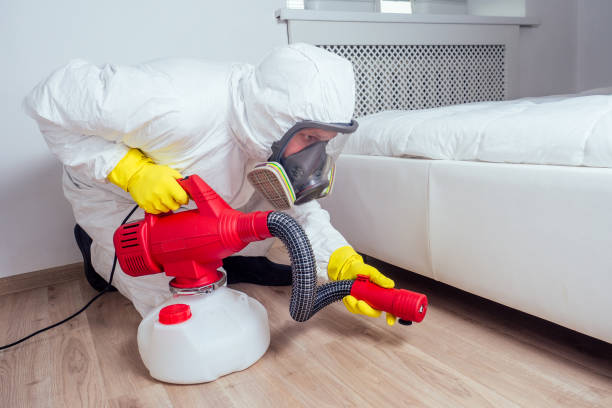Pest Control Cost in Brentwood, MO