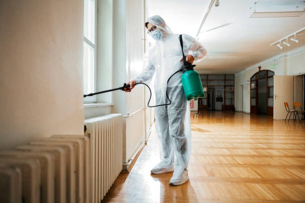 Flea Control Services in Brentwood, MO