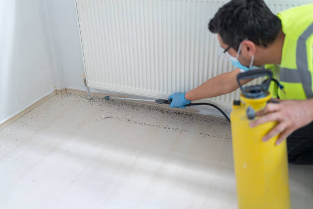 Best Pest Prevention Services  in Brentwood, MO