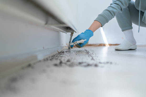 Best Mosquito Control Services  in Brentwood, MO